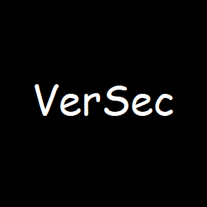 VerSec Language